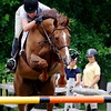 Horse Shows : 